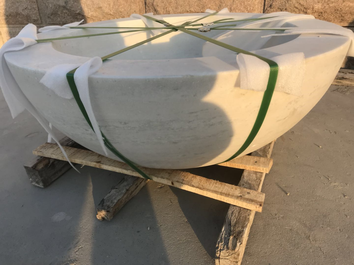 異形樣例9